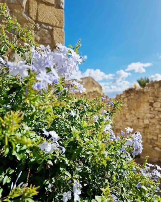 Vila Casa Al Plumbago Termini Imerese Exteriér fotografie